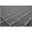 Floor mat F-CORE RENAULT, on the whole floor, ECO-LEATHER, quantity per set 3 szt. (material - eco-leather, colour - grey) RVI P